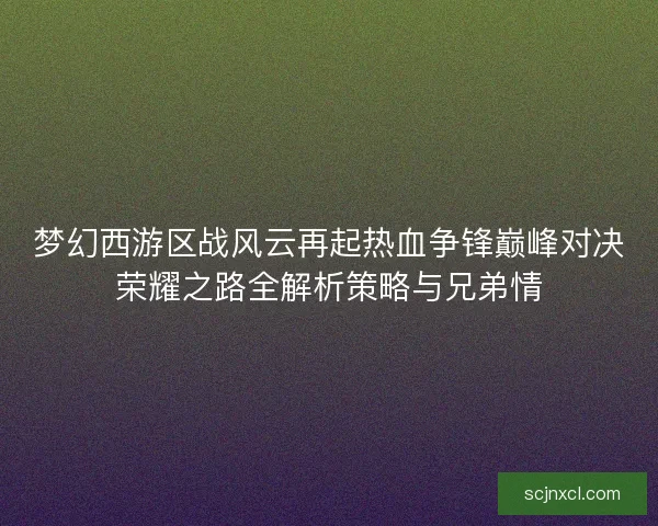 梦幻西游区战风云再起热血争锋巅峰对决荣耀之路全解析策略与兄弟情